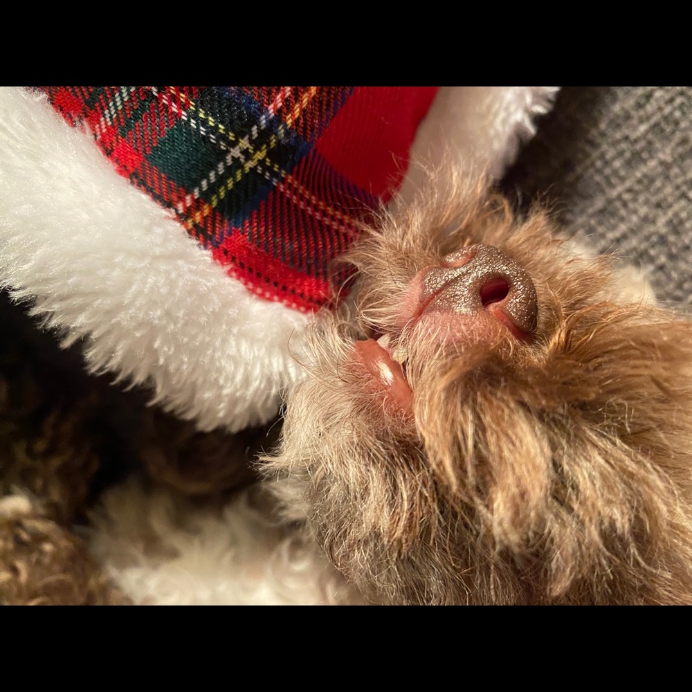 Meet your Posher, Kelly